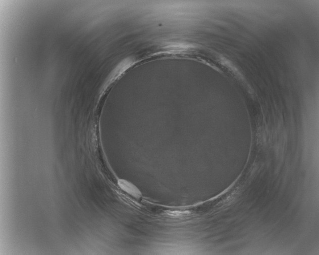 X0000058831362200510071810