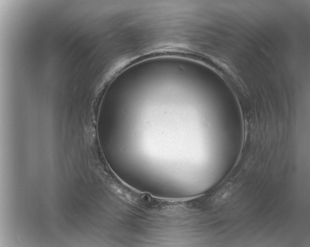 X0000058831363200510071810