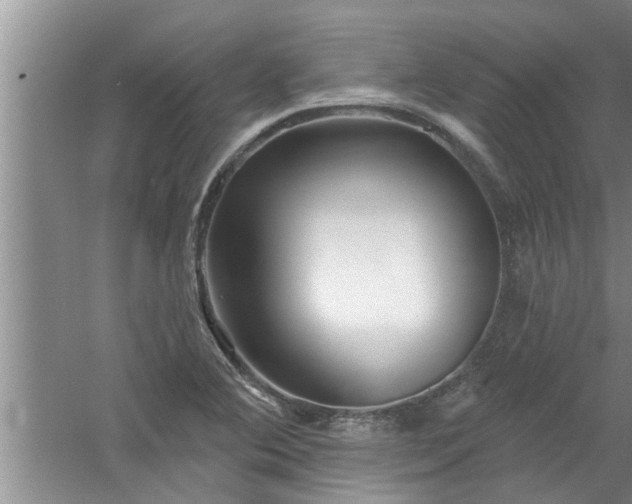 X0000058831364200510071810