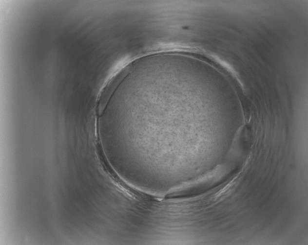 X0000058831365200510071810