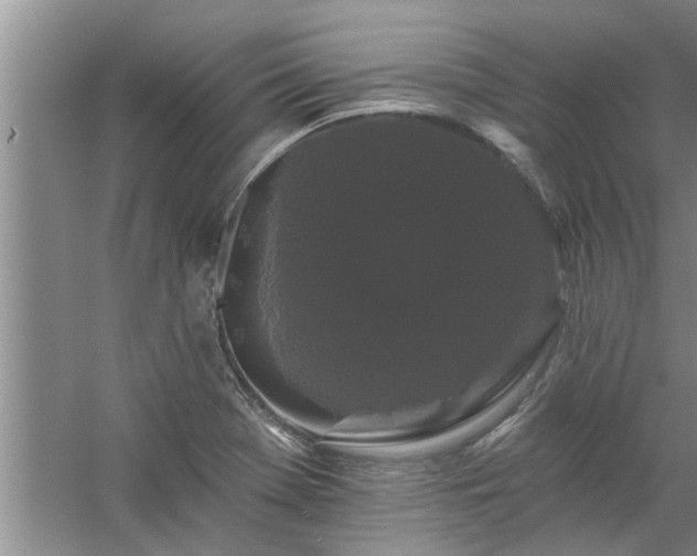 X0000058831369200510071810