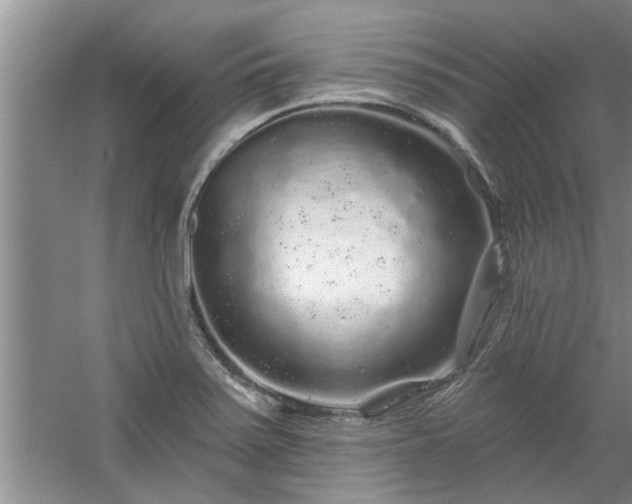 X0000058831371200510071810