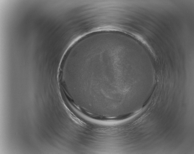 X0000058831372200510071810