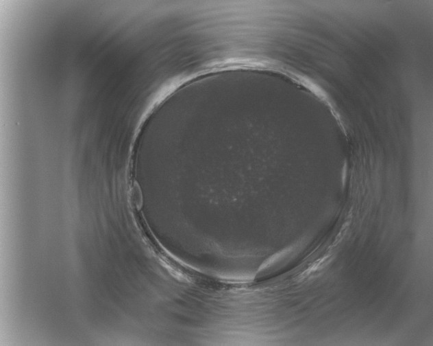 X0000058831373200510071810