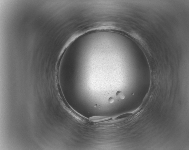 X0000058831374200510071810