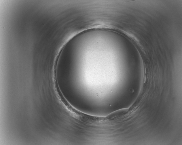 X0000058831375200510071810