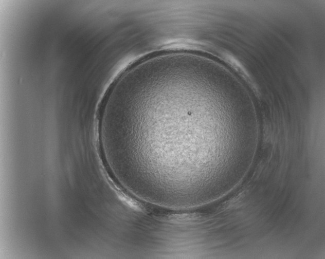 X0000058831376200510071810