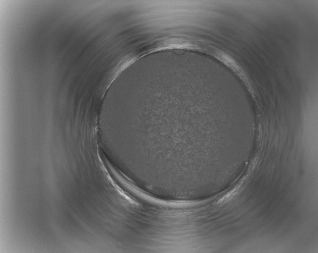 X0000058831377200510071810