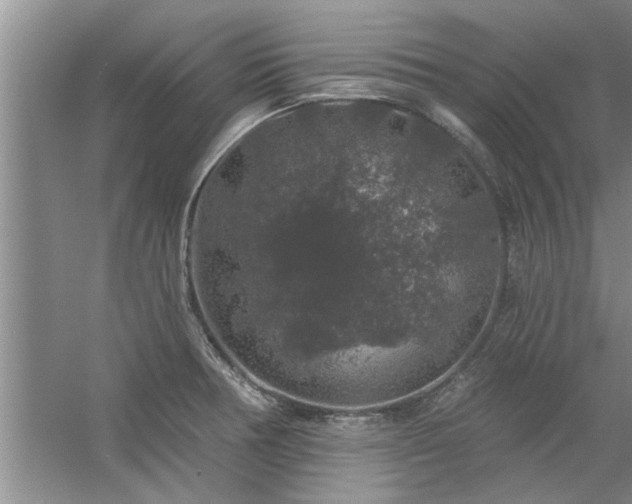 X0000058831378200510071810