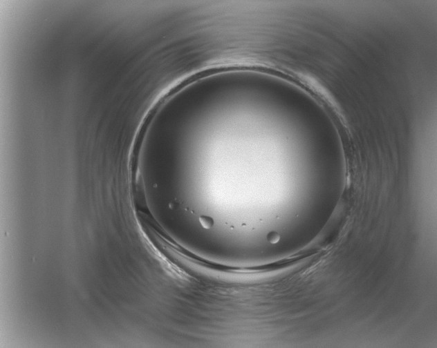 X0000058831380200510071810