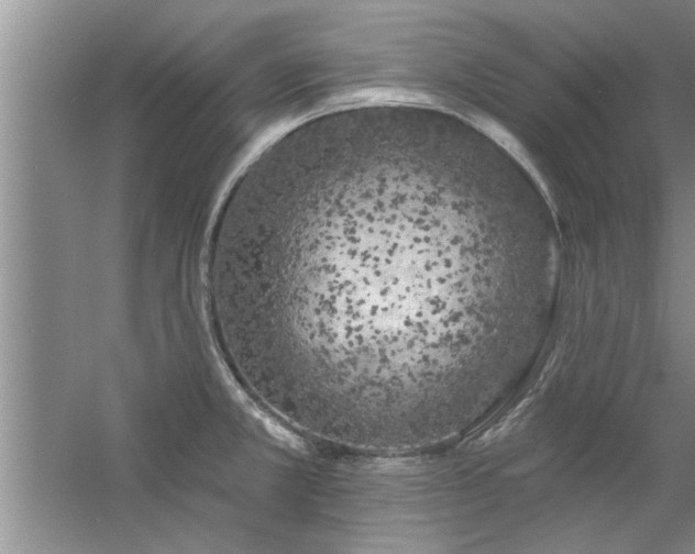 X0000058831381200510071810