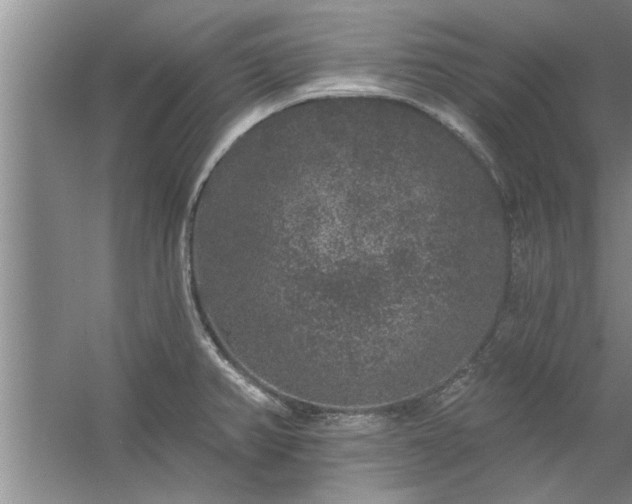 X0000058831382200510071810