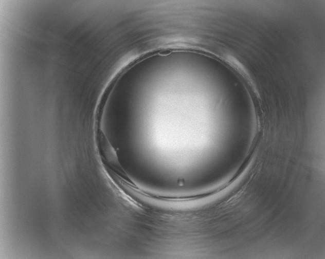 X0000058831384200510071809