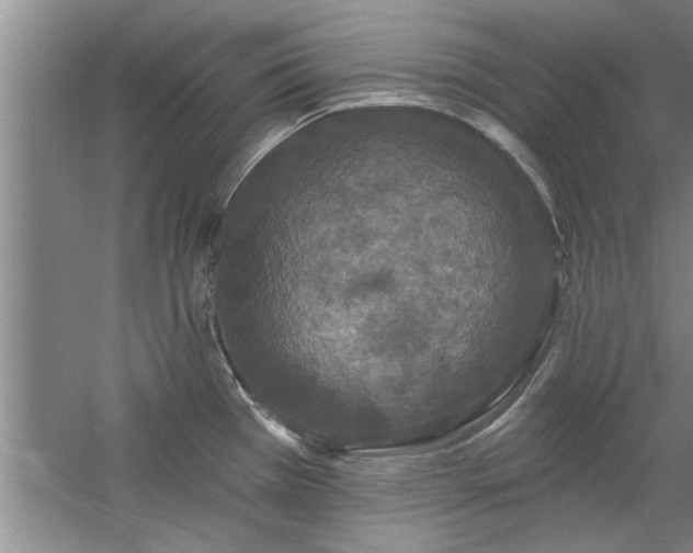 X0000058831385200510071809