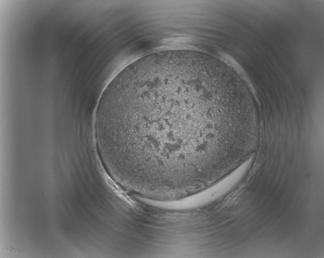 X0000058831386200510071809