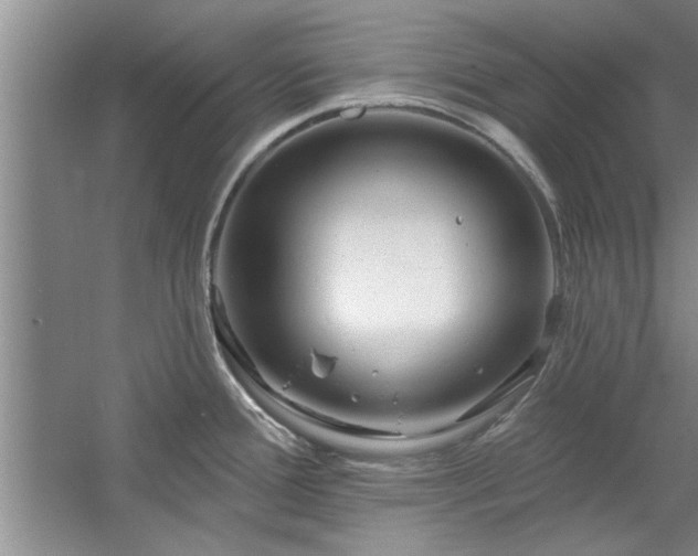 X0000058831388200510071809