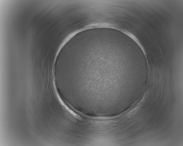 X0000058831389200510071809