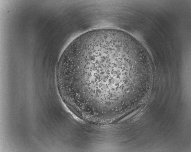 X0000058831390200510071809