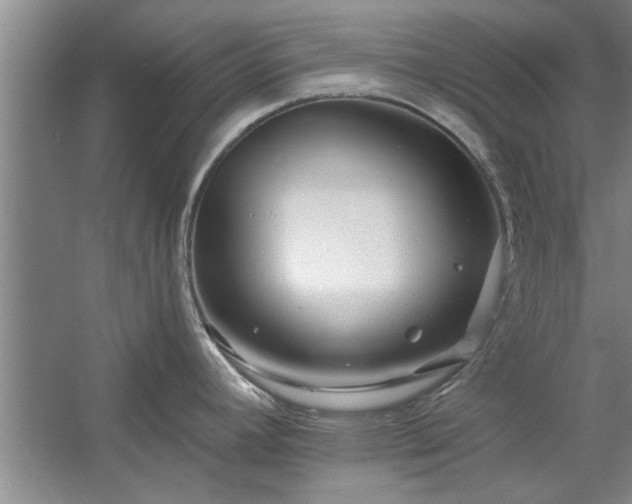 X0000058831392200510071809