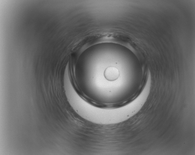 X0000058831394200510071809