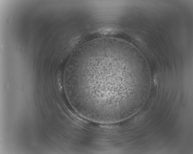 X0000058831396200510071809