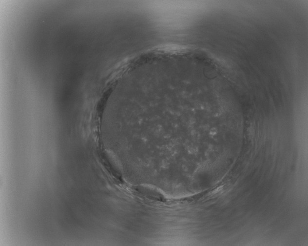 X0000058831397200510071809