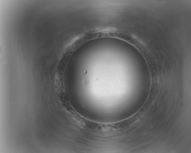 X0000058831398200510071809