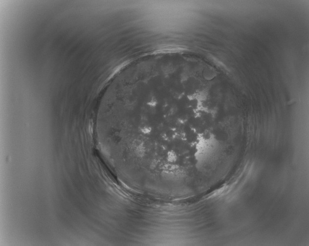 X0000058831401200510071809