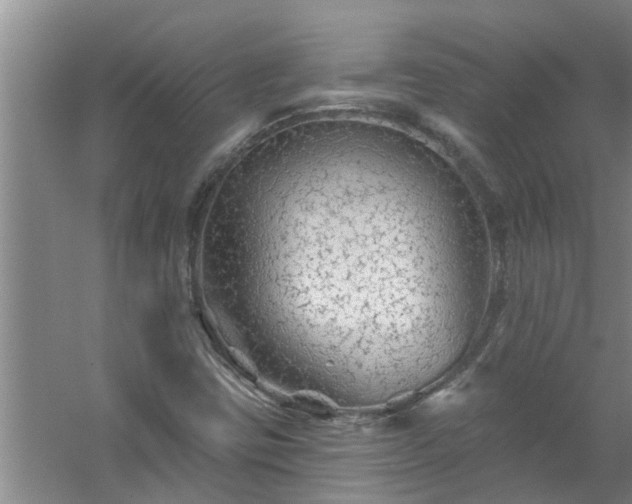 X0000058831403200510071809