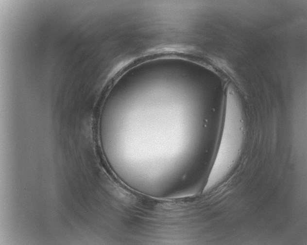 X0000058831404200510071809