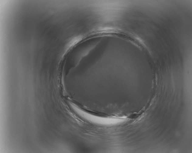 X0000058831405200510071809