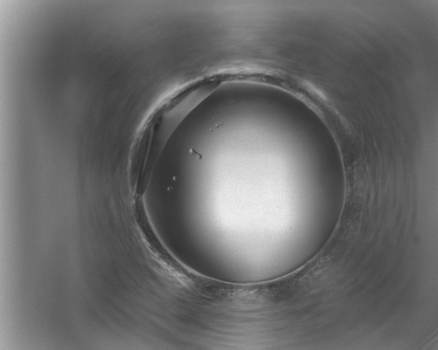 X0000058831408200510071809