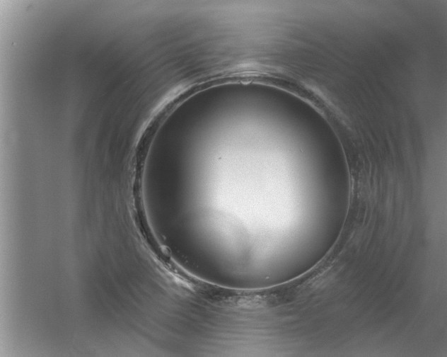 X0000058831410200510071809