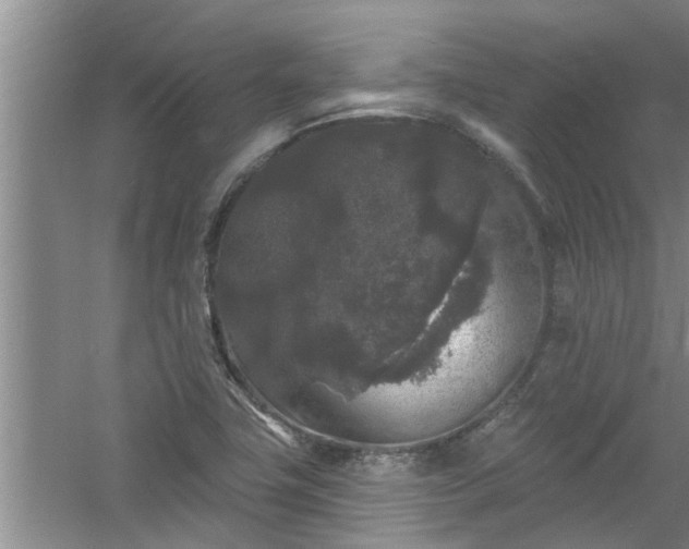 X0000058831411200510071809