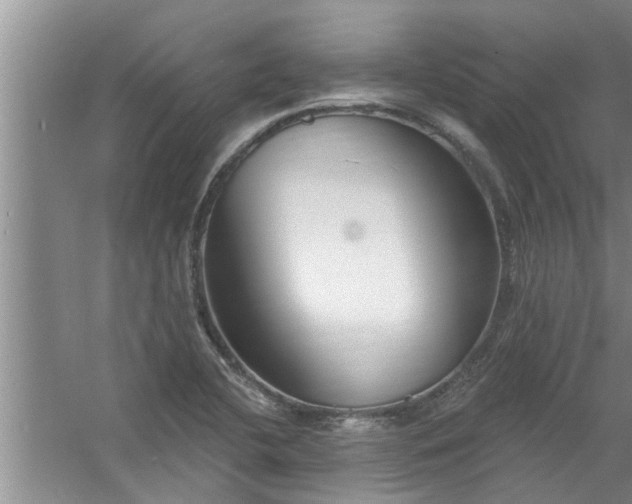 X0000058831412200510071809