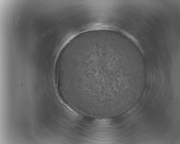 X0000058831415200510071809