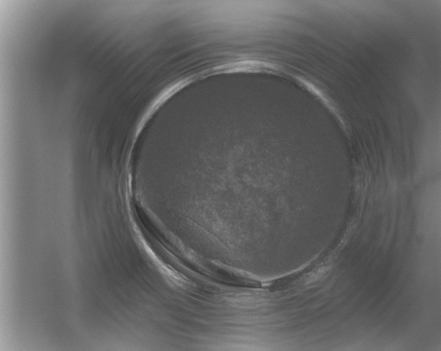 X0000058831418200510071809