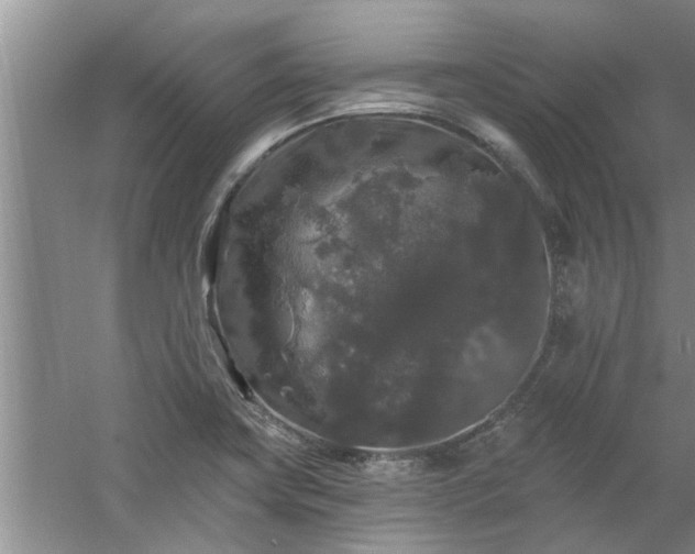 X0000058831419200510071809