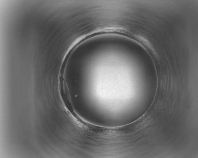 X0000058831420200510071809