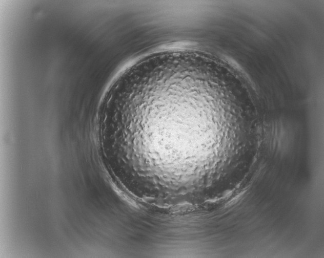 X0000058831421200510071809