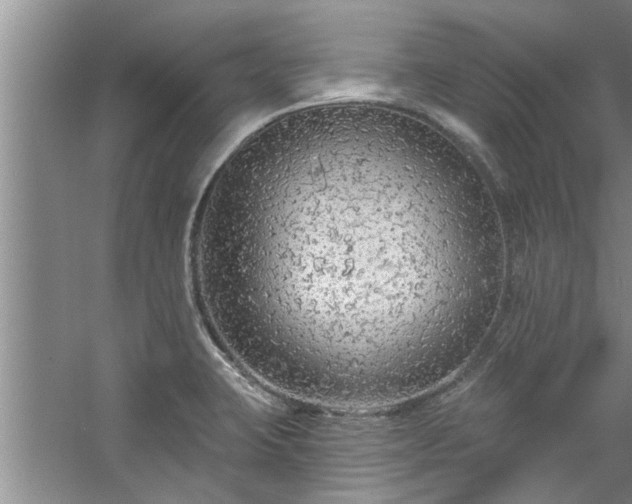 X0000058831423200510071809