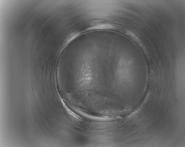 X0000058831425200510071809