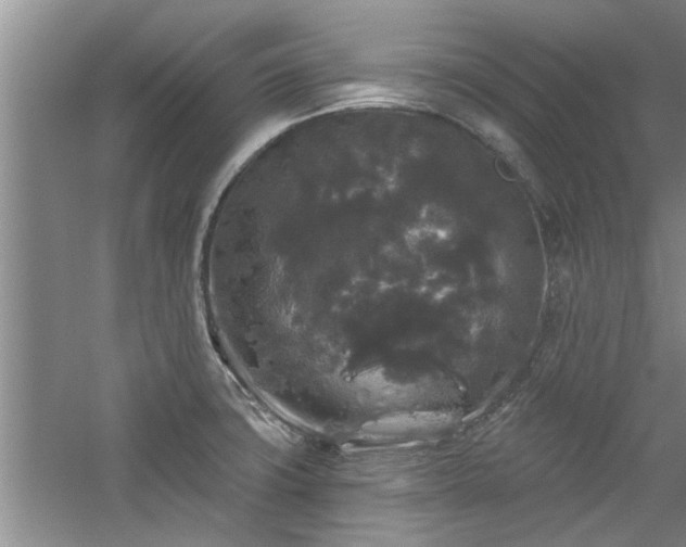 X0000058831427200510071809