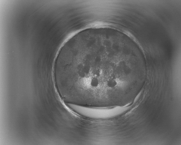 X0000058831429200510071809