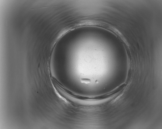 X0000058831433200510071809