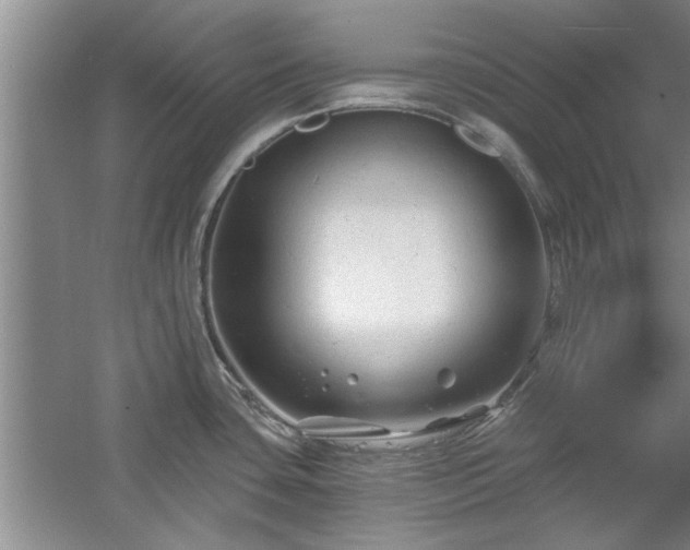 X0000058831435200510071809