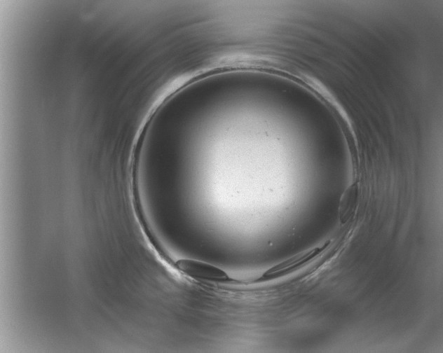 X0000058831437200510071809