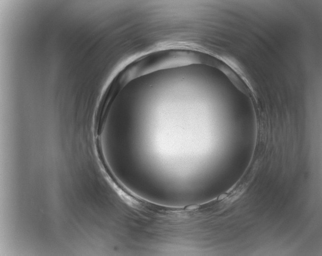 X0000058831438200510071809