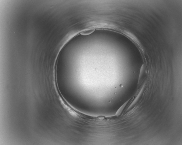 X0000058831439200510071809