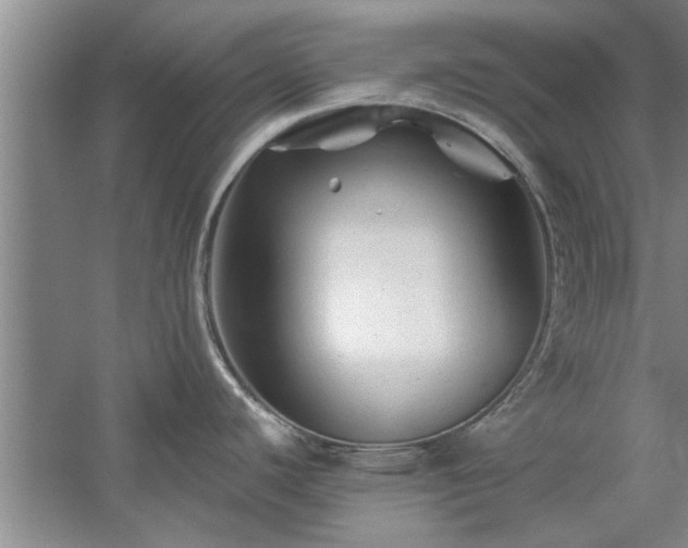 X0000058831440200510071809